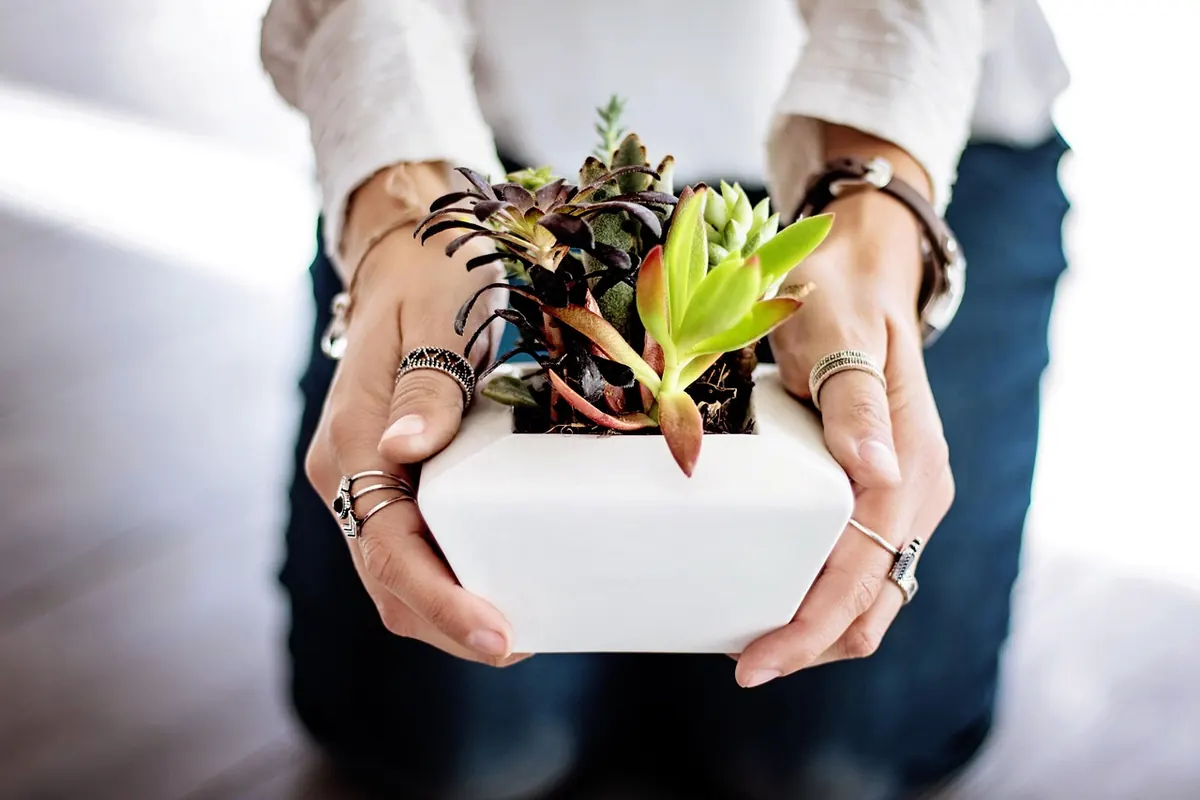 Common Mistakes When Planting Spring Bulbs in Pots