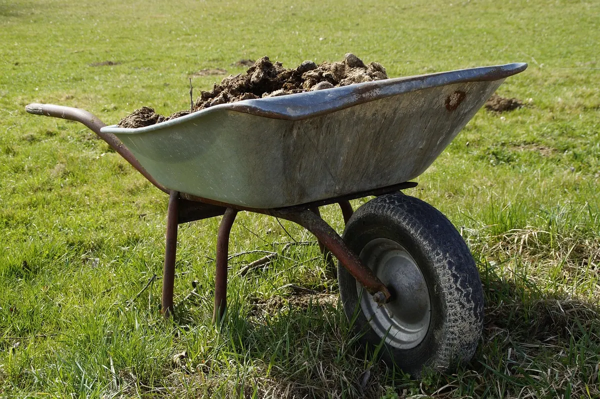 Peat-Free vs Peat-Based Compost: Which Should UK Gardeners Use?